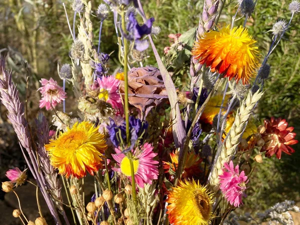 Bild 1: Bloomwies